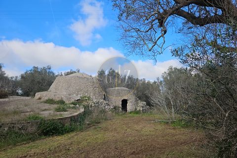 Tomt i Martano, Lecce, Martano - € 55 000 | Ref: TR002 - foto 2